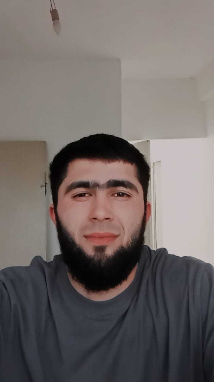  53124658  , 29 ,    