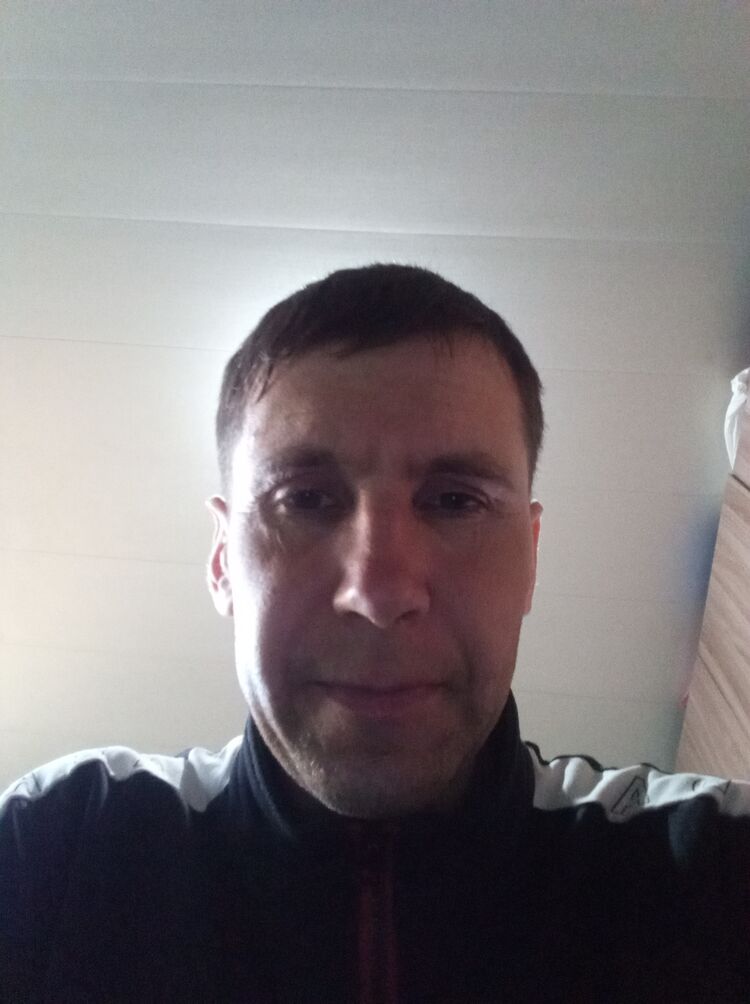  43335158  , 39 ,    -