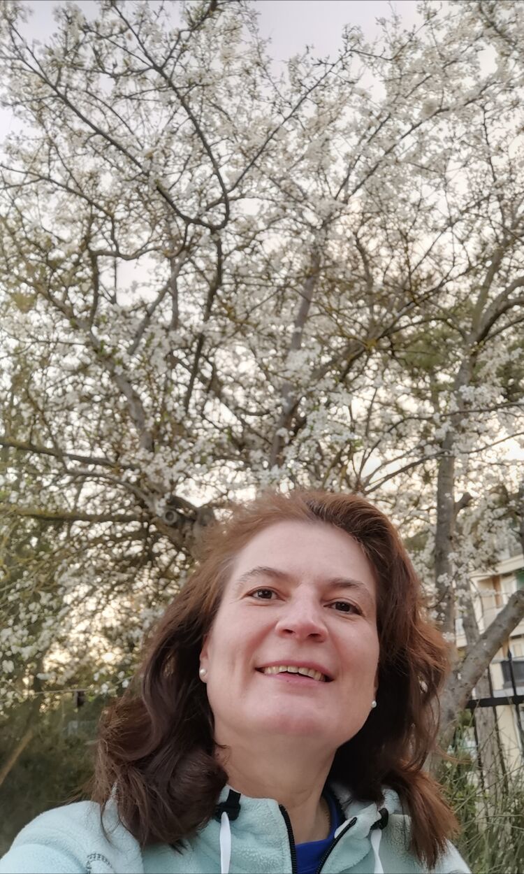 ���������� ������, ���� ������� �������, 55 ���, ������������ ��� c�������� ���������