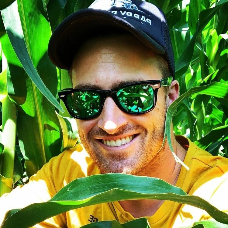 ���������� ����, ���� ������� Veanamil, 33 ����, ������������ ��� ������, ����� � ���������