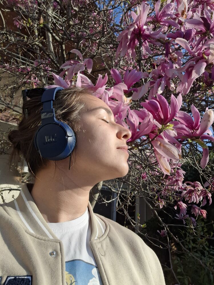 ���� 56278198 ������� ������, 20 ���, ���� ���������� � ������