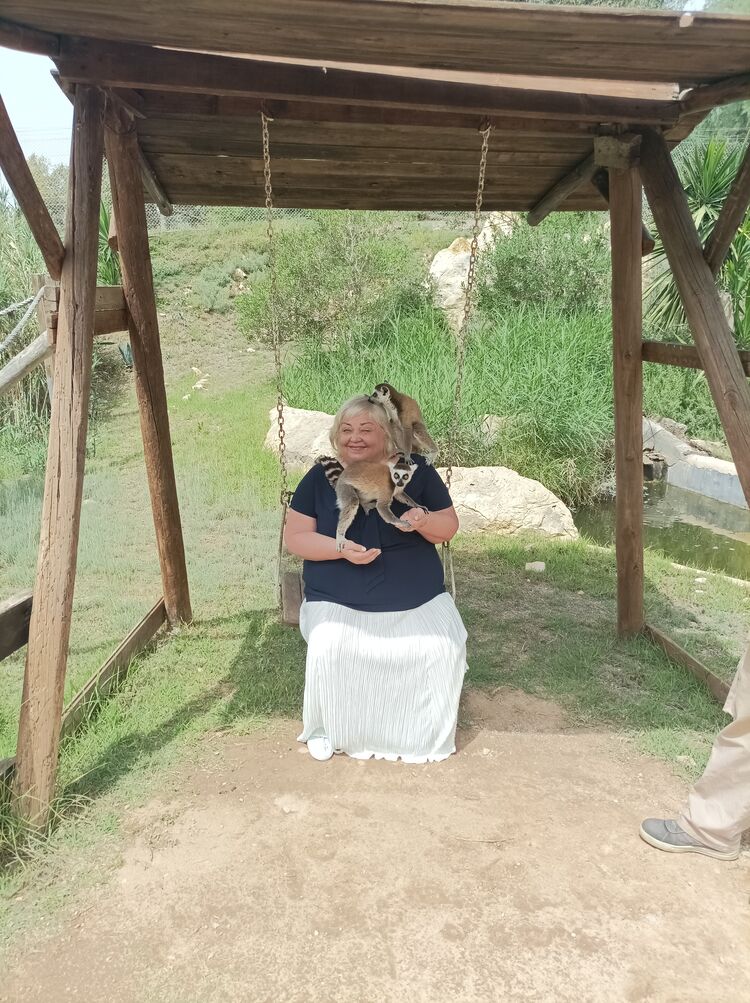  34955848  , 50 ,    -