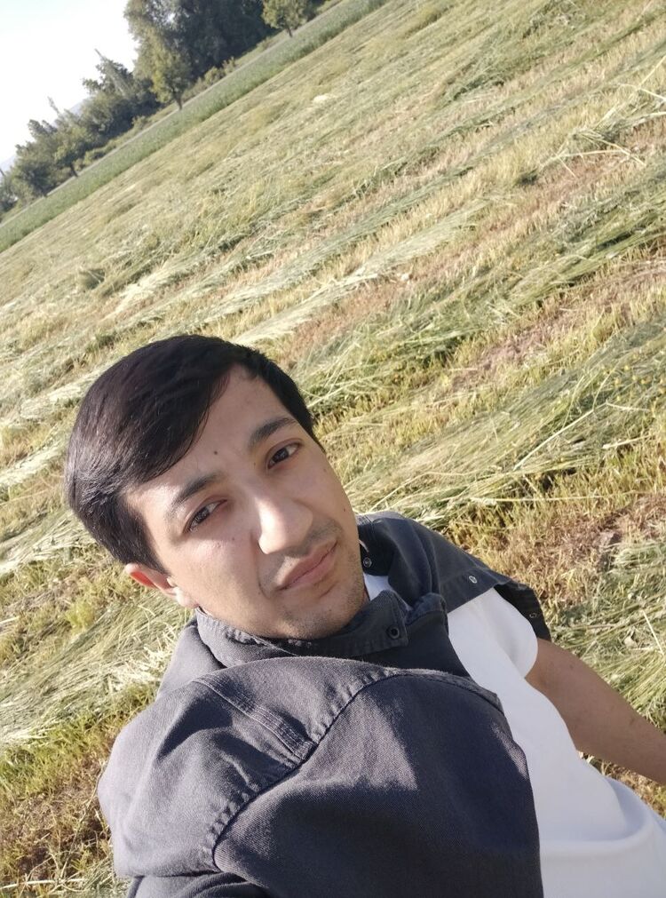  33989378  , 25 ,    