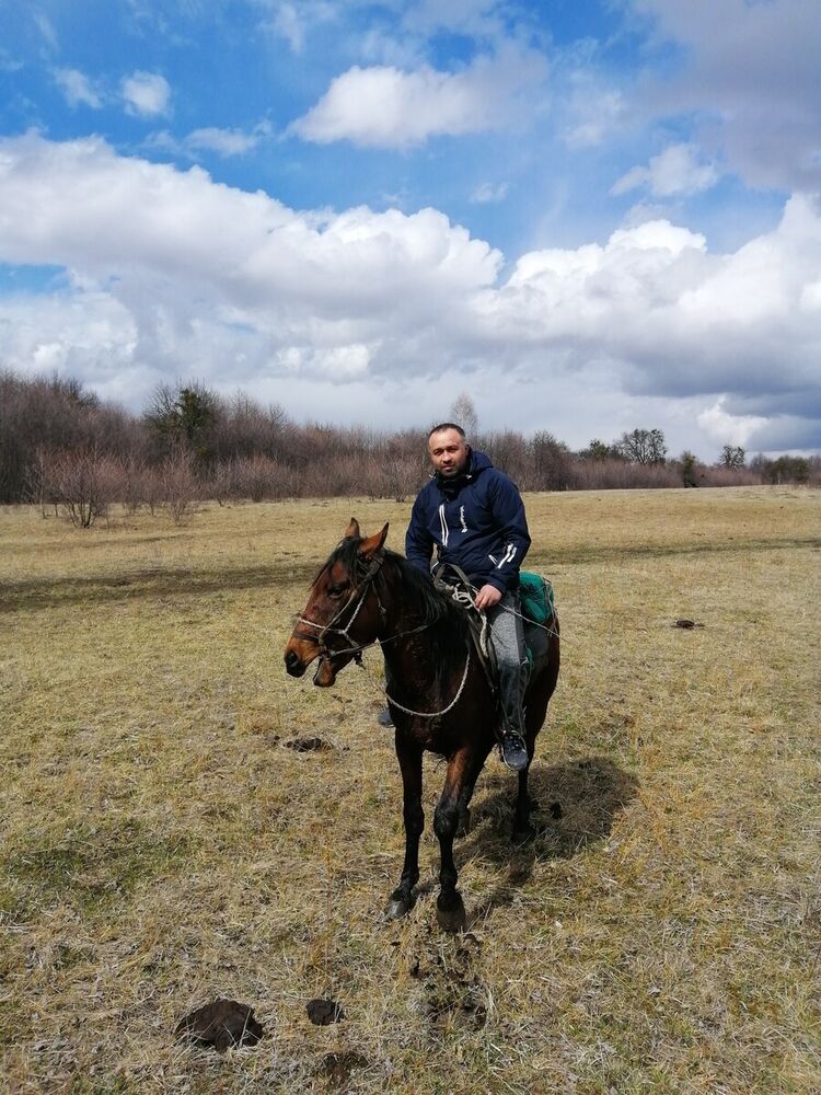 ���� 20599578 ������� �����, 36 ���, ���� ���������� � �������-��-����