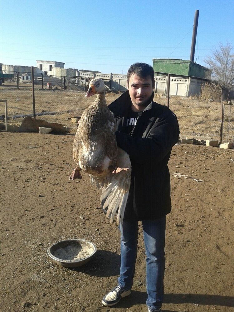 ���� 22477468 ������� �����, 38 ���, ���� ���������� � �����