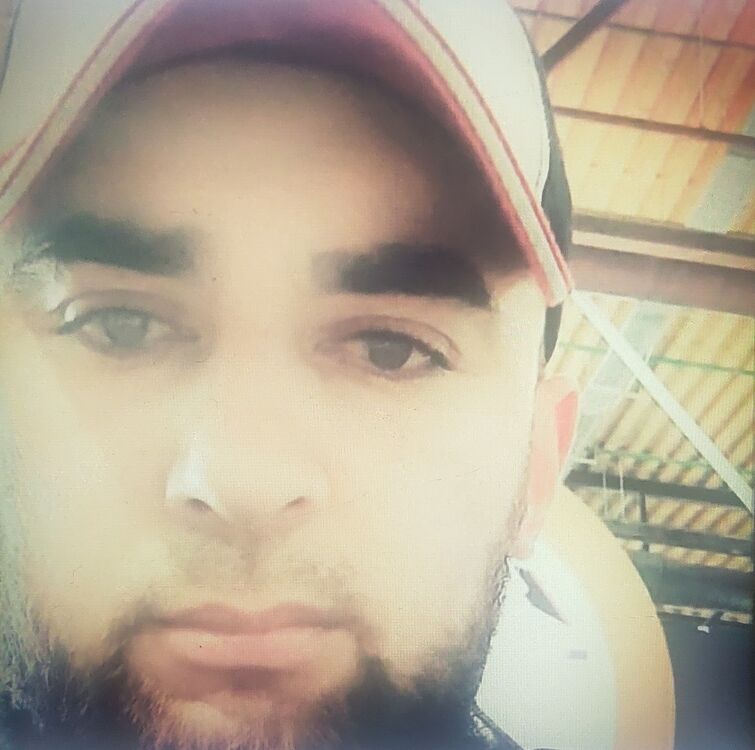 ���������� �����-���������, ���� ������� ����� �, 31 ���, ������������ ��� ������, ����� � ���������, c�������� ���������, ���������