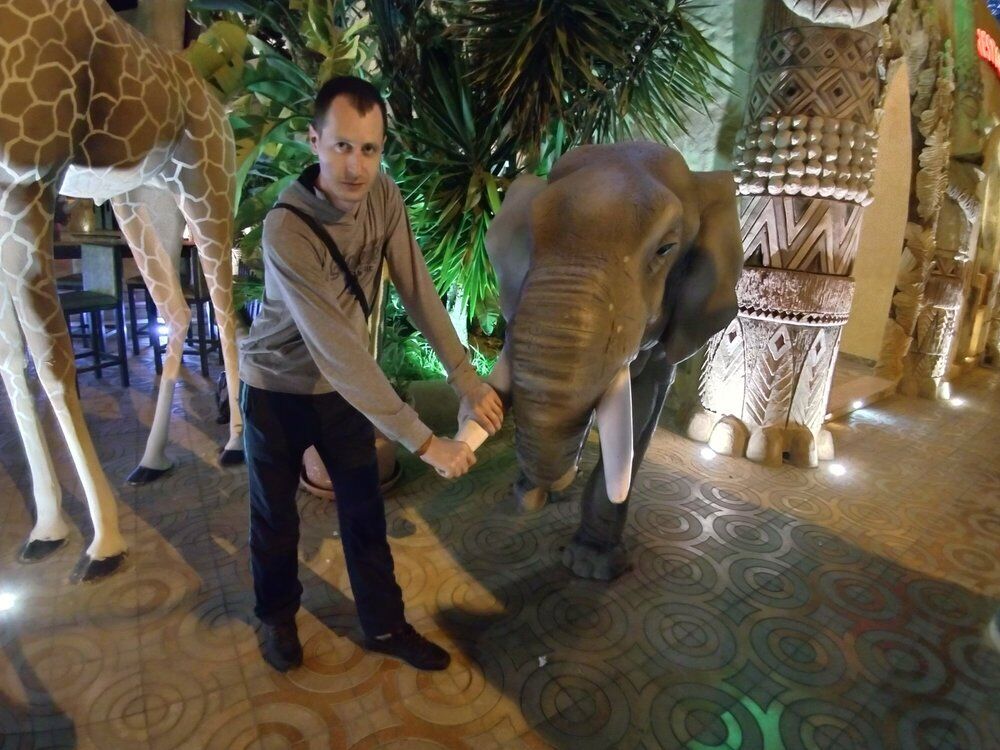 ���������� ������-��-����, ���� ������� Lexx, 38 ���, ������������ ��� ������, ����� � ���������