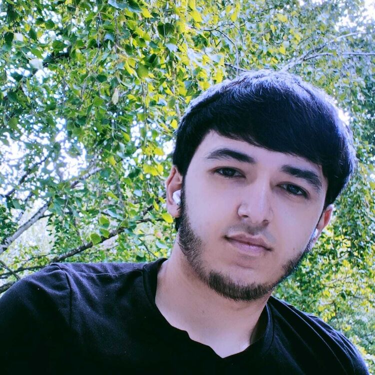 ���� 50017878 ����� ������, 24 ����, ���� ���������� � ������ �������