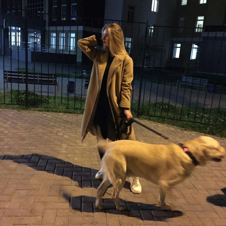 ���������� ������, ���� ������� ���������, 25 ���, ������������ ��� ������, ����� � ���������