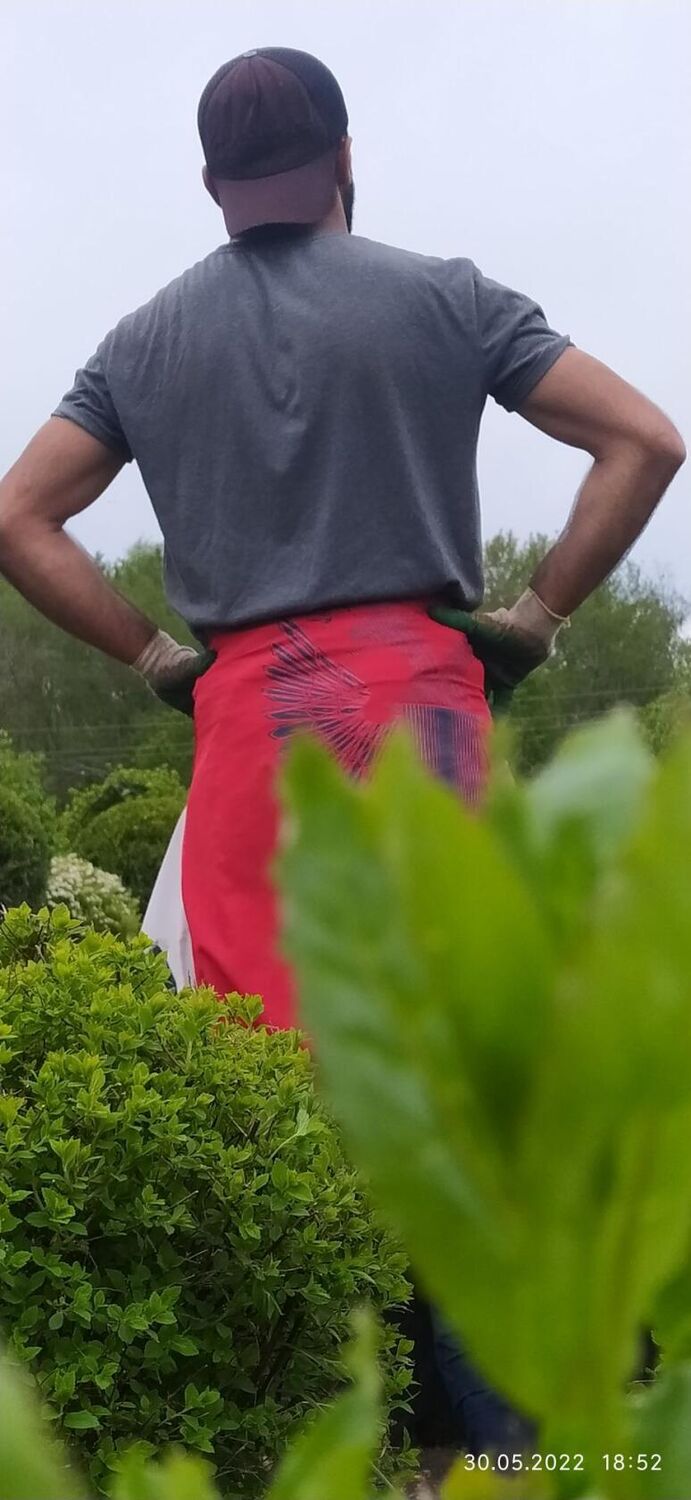 ���� 30870508 ������� Borodaj, 28 ���, ���� ���������� � ������