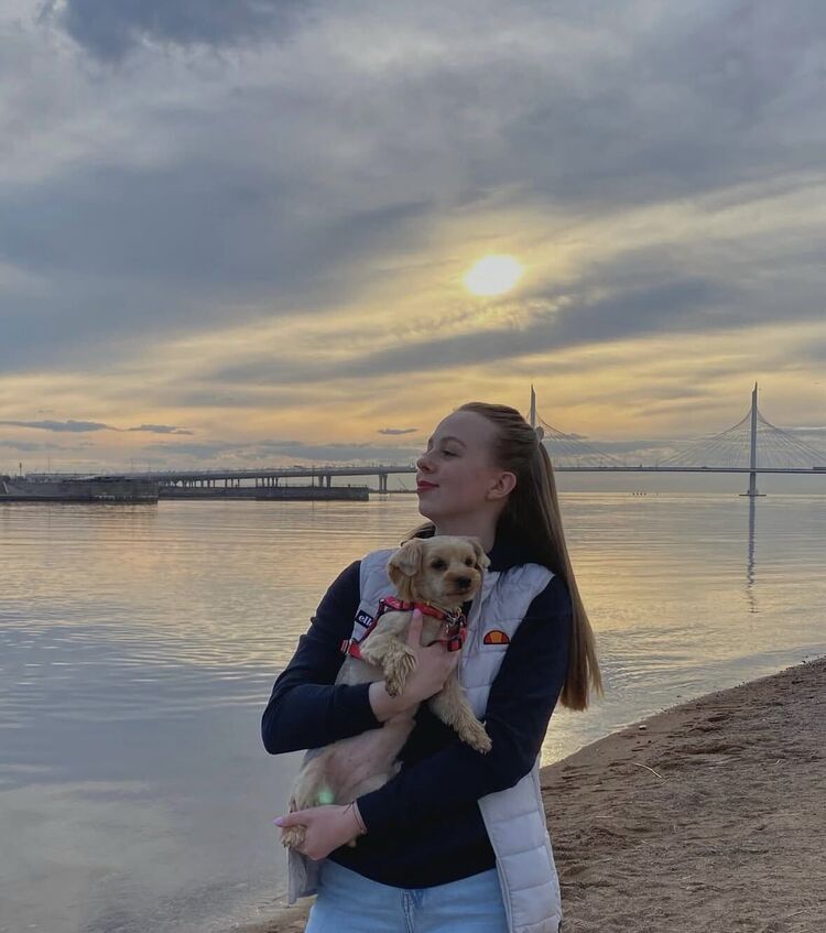 ���������� ���������, ���� ������� ��������, 23 ����, ������������ ��� ������, ����� � ���������