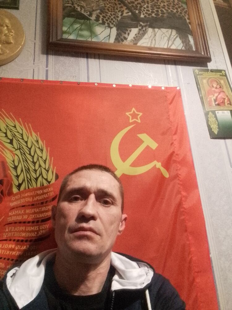  41056488  , 48 ,    