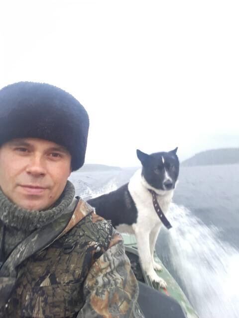 ���� 30963148 ������� ϸ��, 41 ���, ���� ���������� � �����������