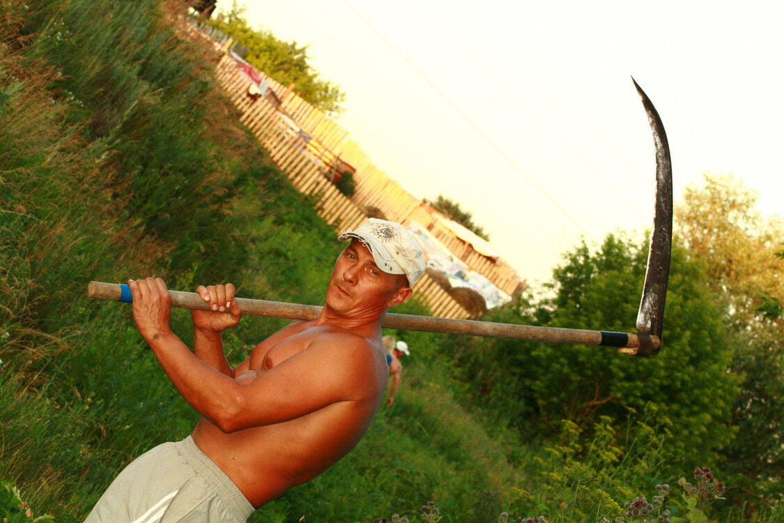  ,   , 55 ,  