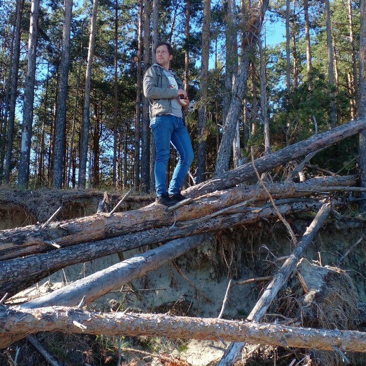 ���� 31228698 ������� �������, 31 ���, ���� ���������� � ������������