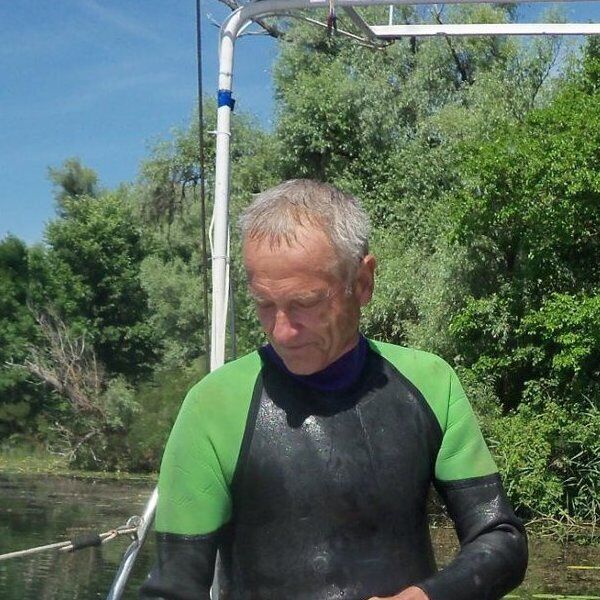 ���� 54934158 ������� ������, 68 ���, ���� ���������� � �������