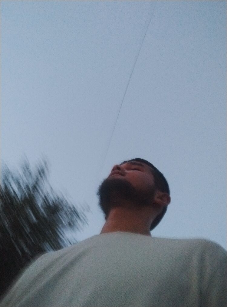  44759788  , 22 ,    