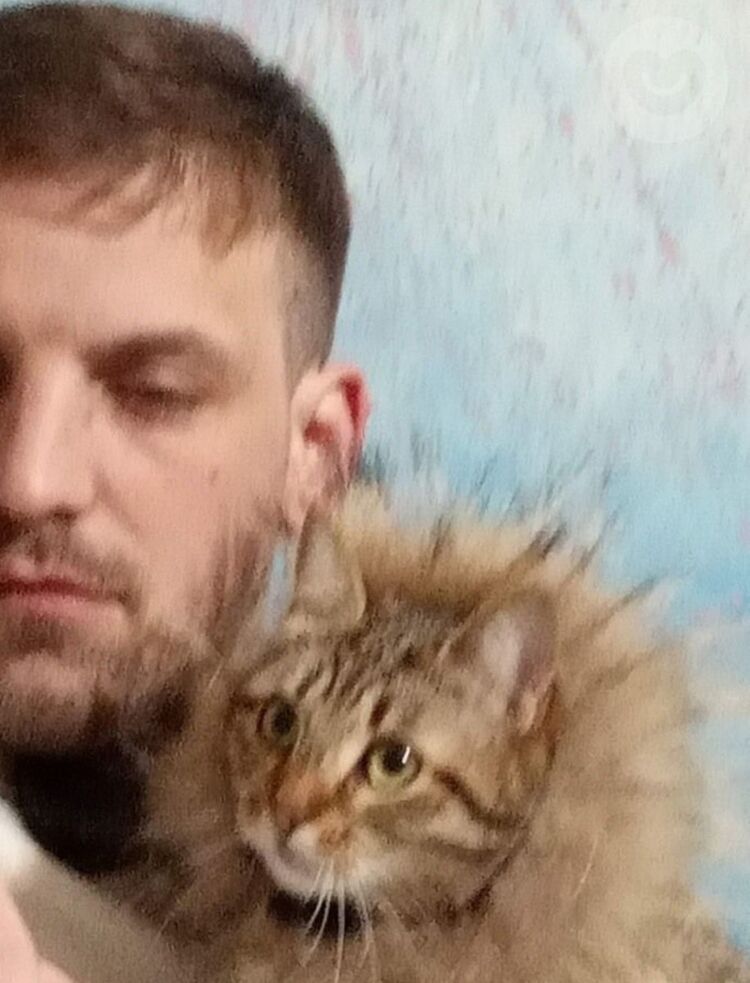 ���������� ����, ���� ������� Pavel, 38 ���, ������������ ��� ������, ����� � ���������, c�������� ���������