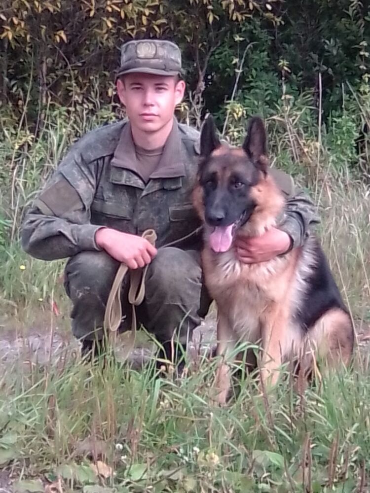 ���������� �������, ���� ������� ������, 29 ���, ������������ ��� ������, ����� � ���������, c�������� ���������, ���������