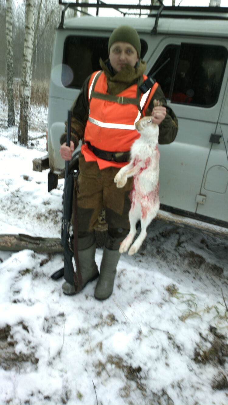 ���������� ������, ���� ������� ������, 38 ���, ������������ ��� ����� � ���������, c�������� ���������