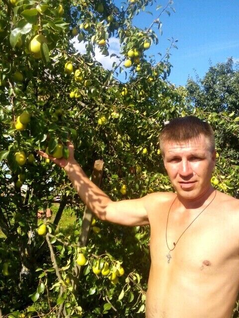 ���� 30033518 ������� ������, 47 ���, ���� ���������� � �����