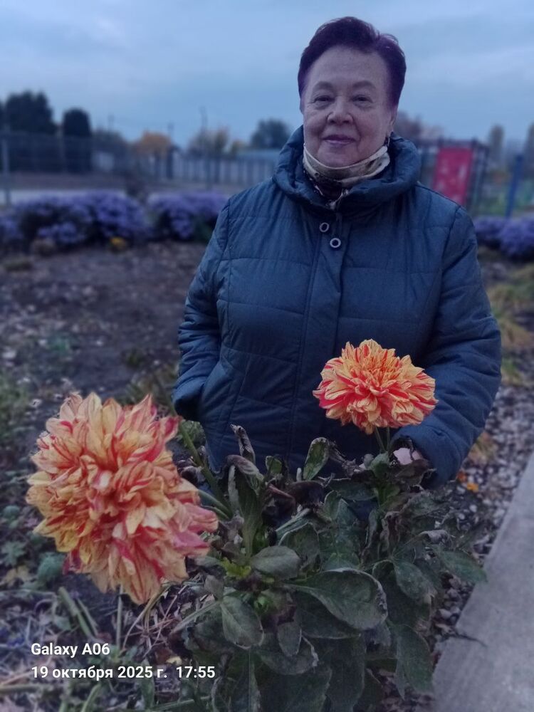 ���� 54697078 ������� ������, 30 ���, ���� ���������� � ��������