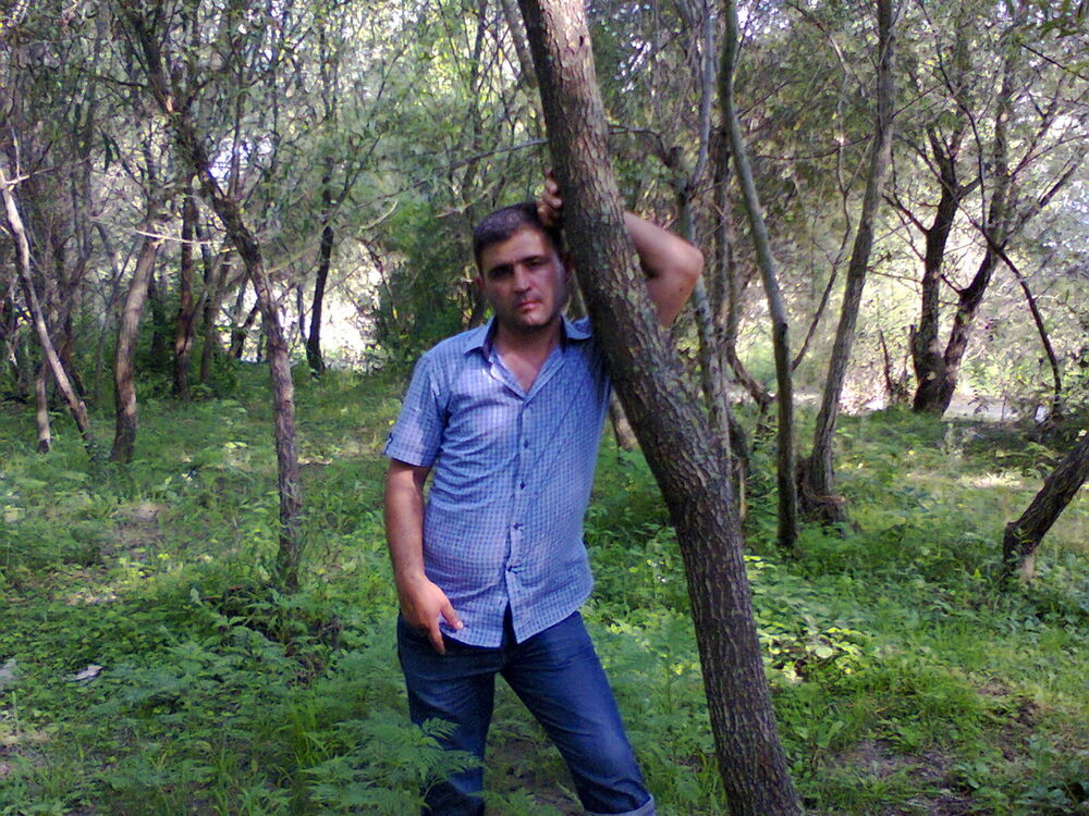  4067888  VAQIF, 40 ,    