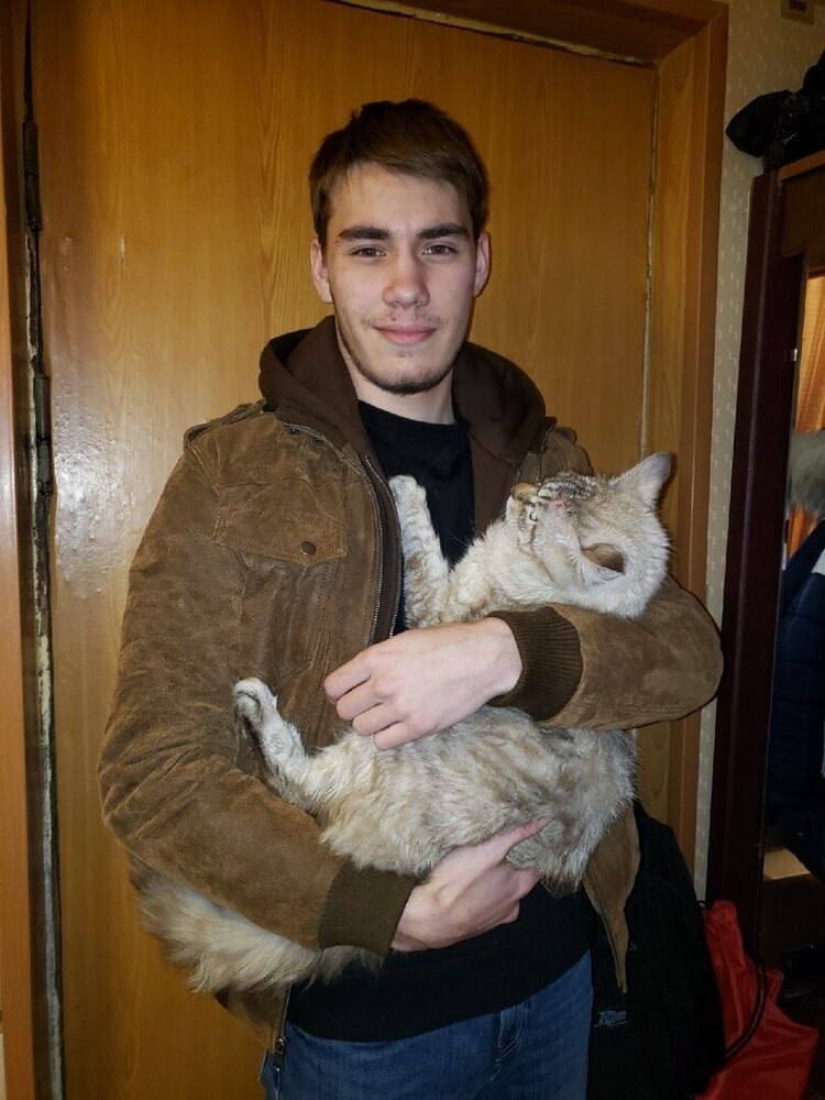 ���� 20431138 ����� ������, 24 ����, ���� ���������� � �����-����������