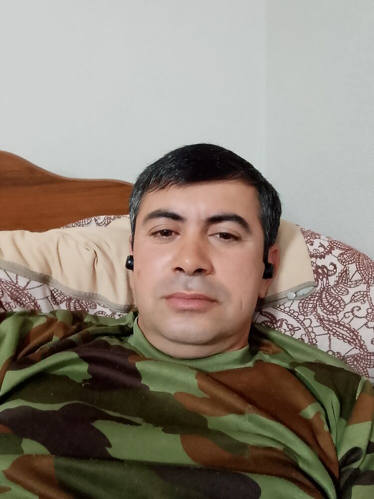  43606678  , 40 ,    
