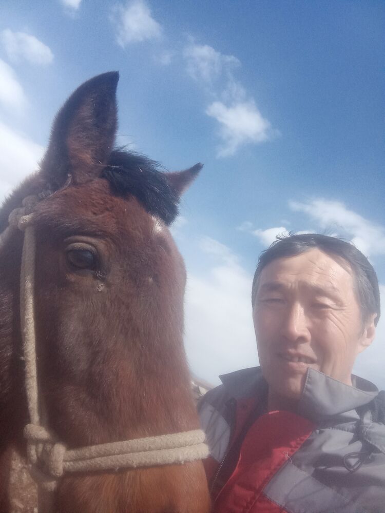 ���������� ����-���, ���� ������� �����, 56 ���, ������������ ��� c�������� ���������