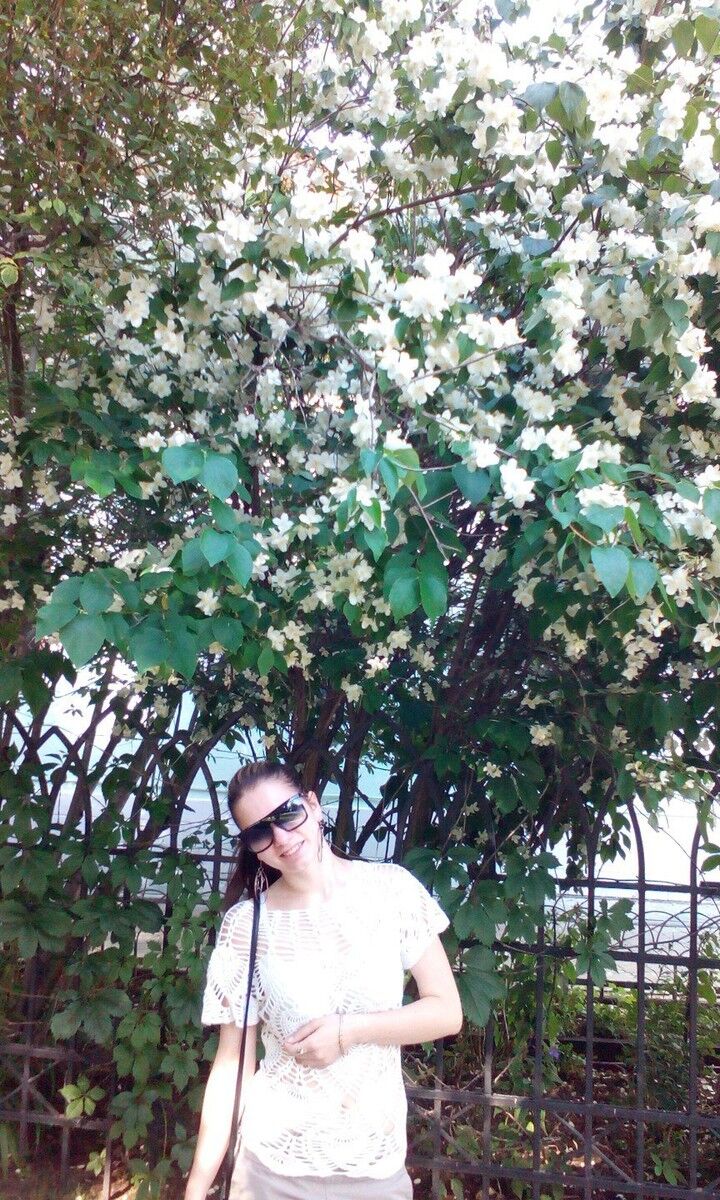 ���������� ��������, ���� ������� �����, 29 ���, ������������ ��� ������