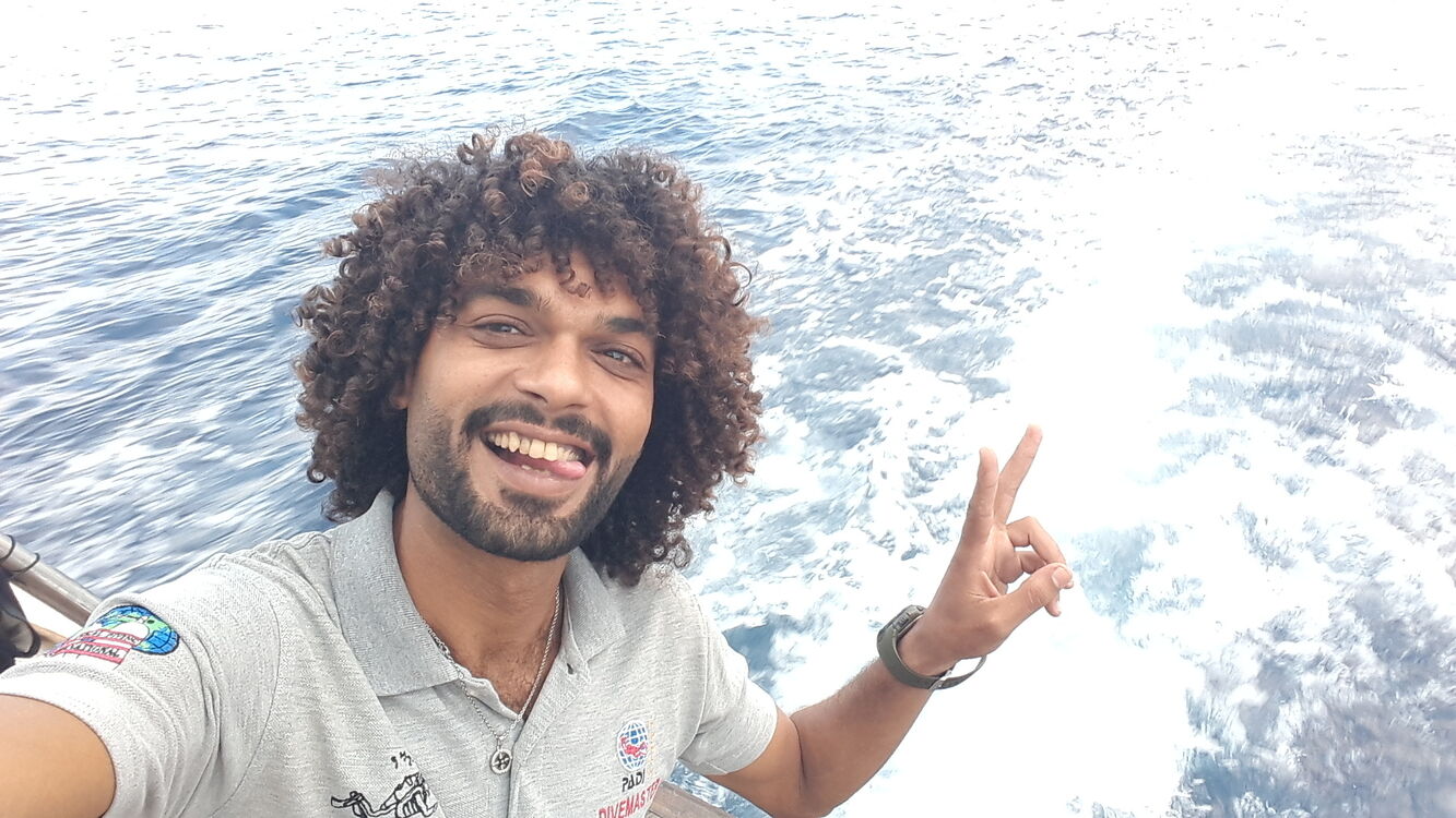 ���� 45021298 ������� LoMa, 38 ���, ���� ���������� � ������