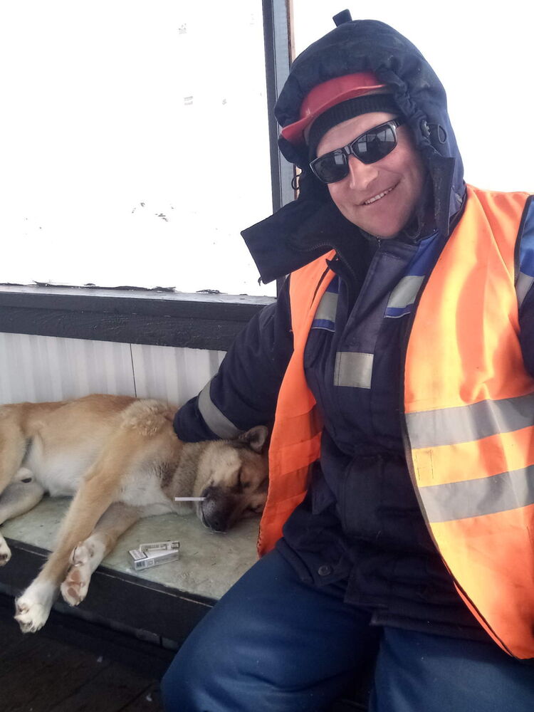 ���������� ����, ���� ������� ������, 41 ���, ������������ ��� ������, ����� � ���������, c�������� ���������, ���������