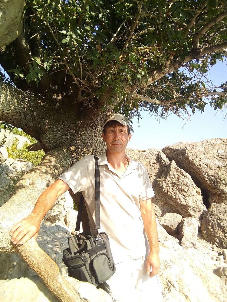 ���� 55128518 ������� �������, 51 ���, ���� ���������� � ���������