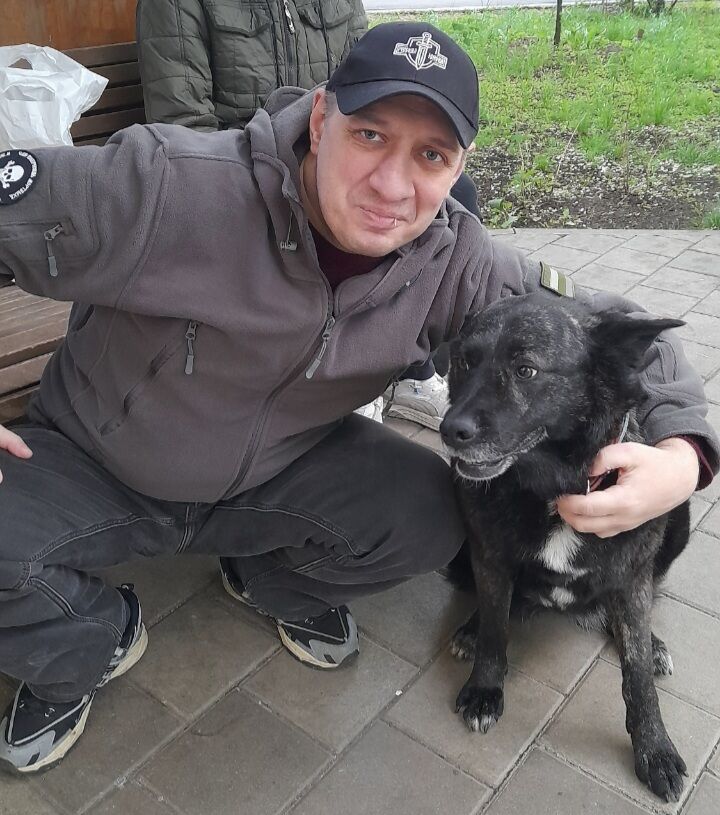 ���� 56128908 ������� ���������, 43 ����, ���� ���������� � ������