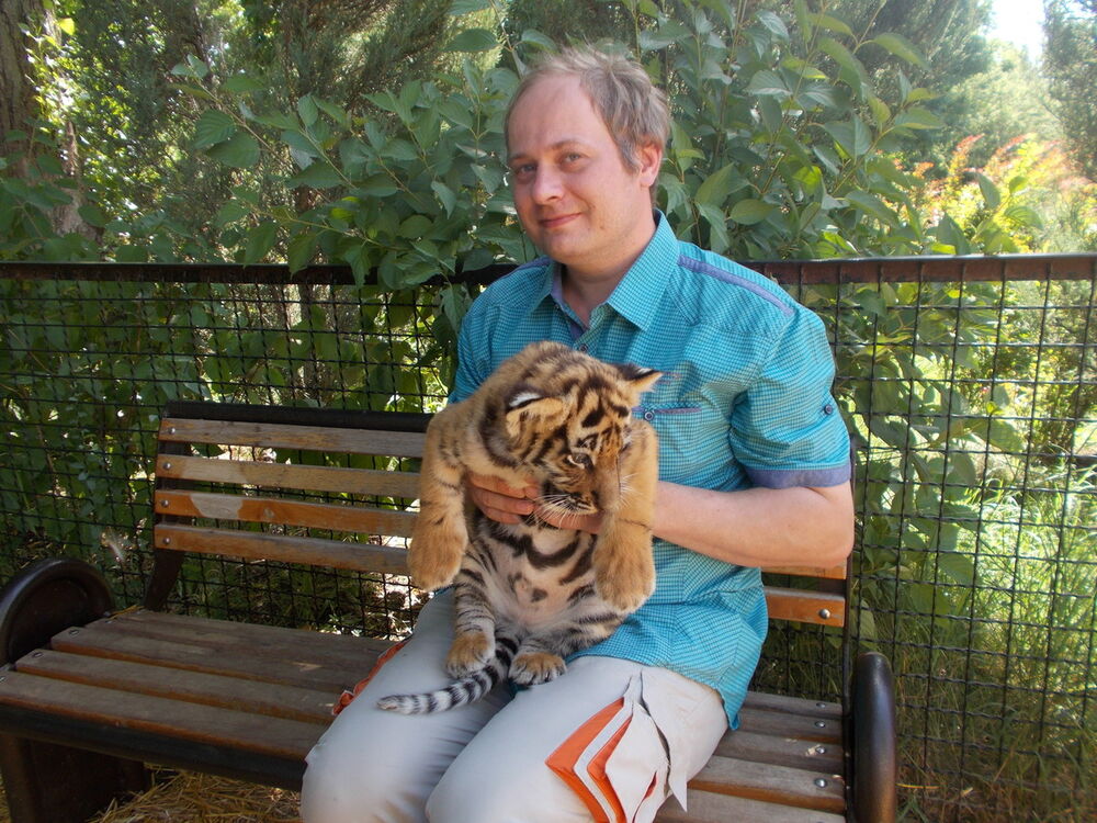 ���������� �������, ���� ������� ������, 44 ����, ������������ ��� ������, ����� � ���������, c�������� ���������