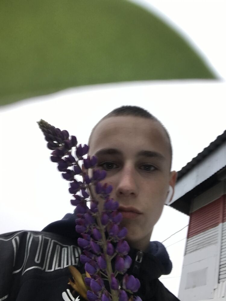  30515448  , 22 ,    