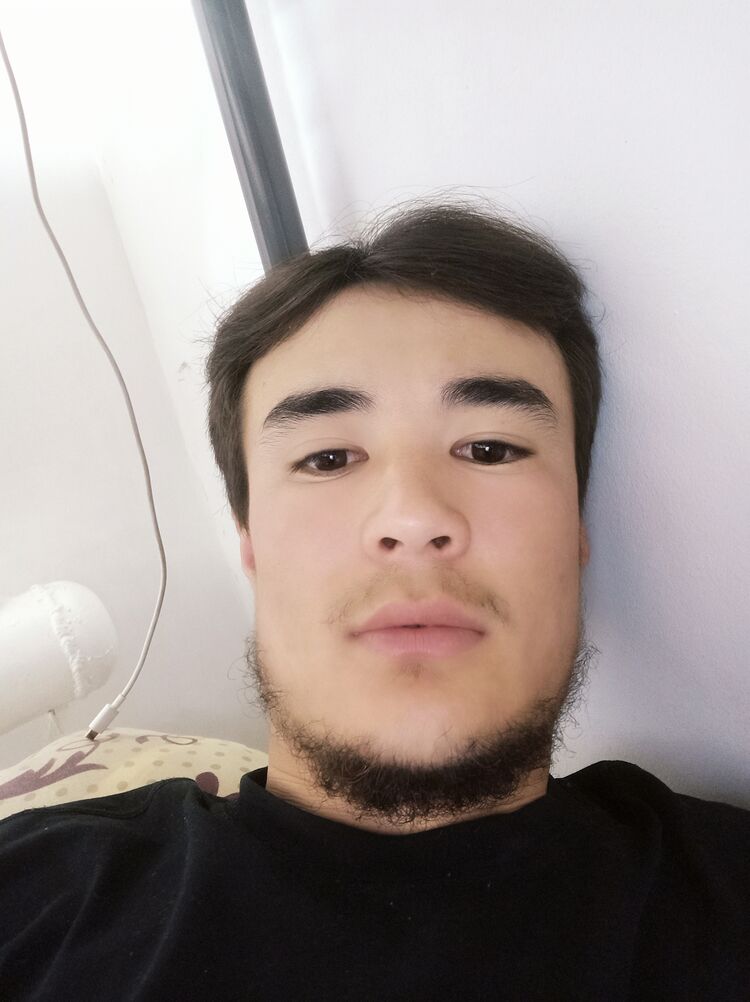  45348238  , 24 ,    