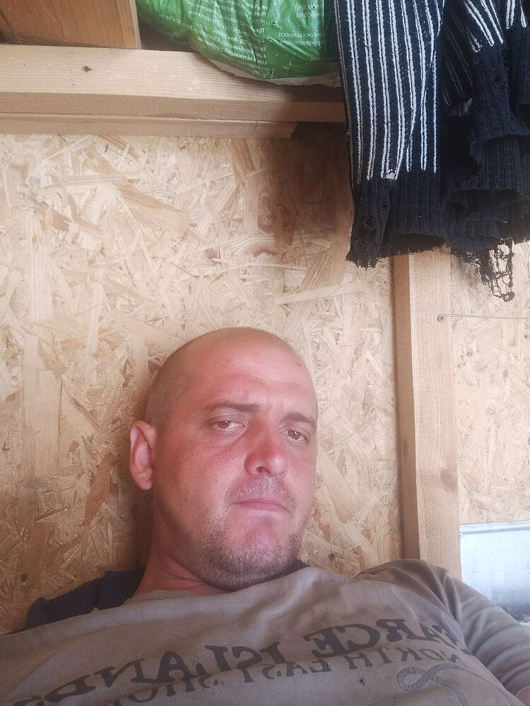  42557628  , 36 ,    