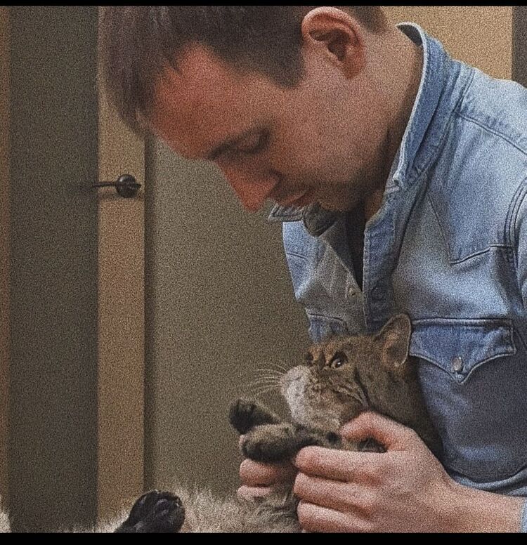 ���� 28773708 ������� ����, 29 ���, ���� ���������� � ������ ���������