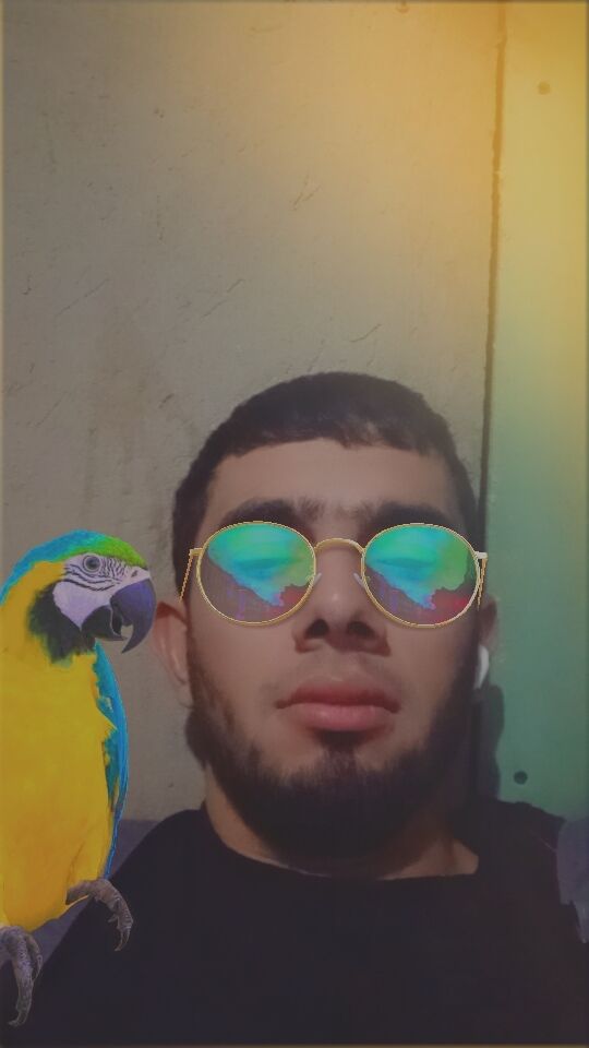  32361458  , 35 ,    