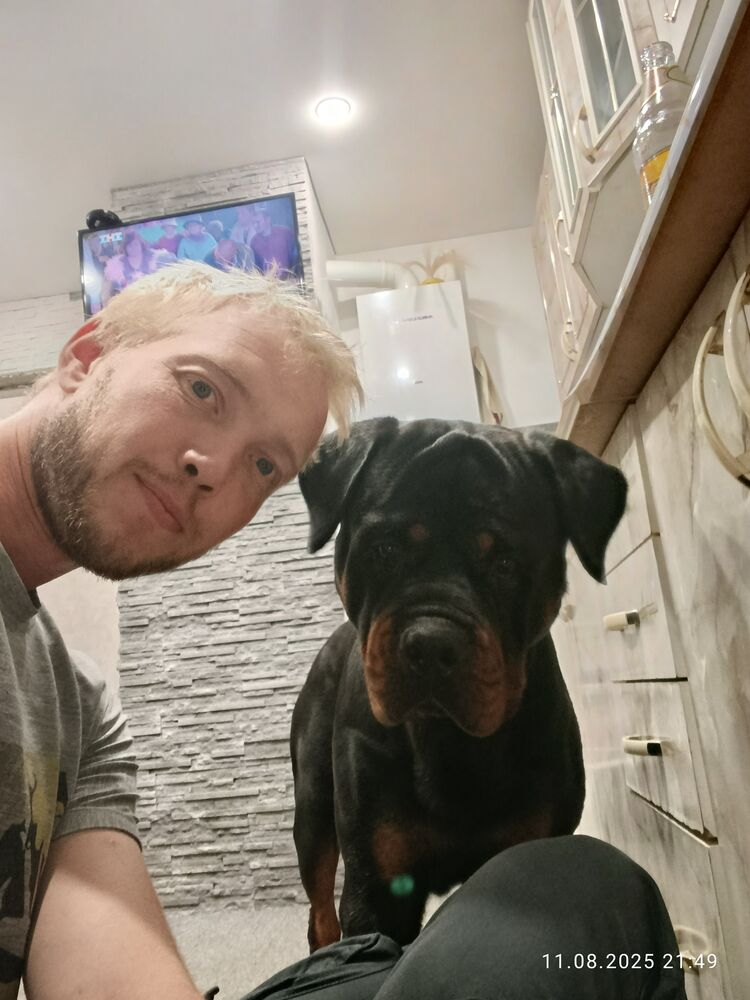 ���� 55327958 ������� ���������, 31 ���, ���� ���������� � �����