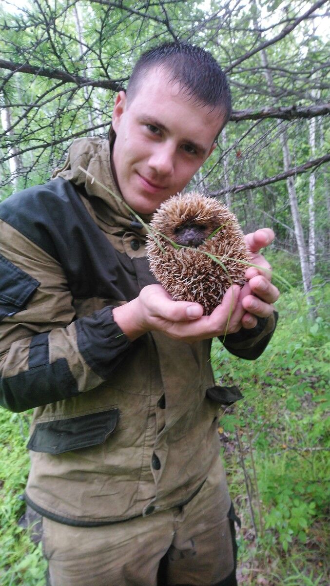 ���������� ���������, ���� ������� ����, 31 ���, ������������ ��� ������, ����� � ���������, c�������� ���������, ���������