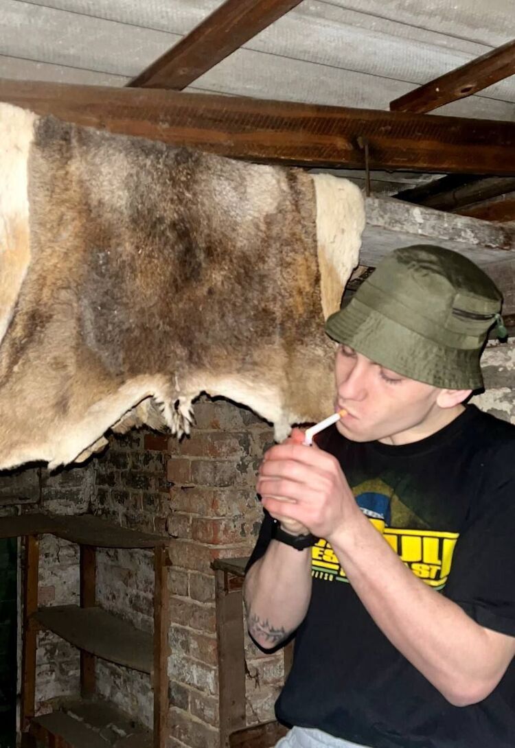 ���� 51664298 ����� �������, 24 ����, ���� ���������� � ����������