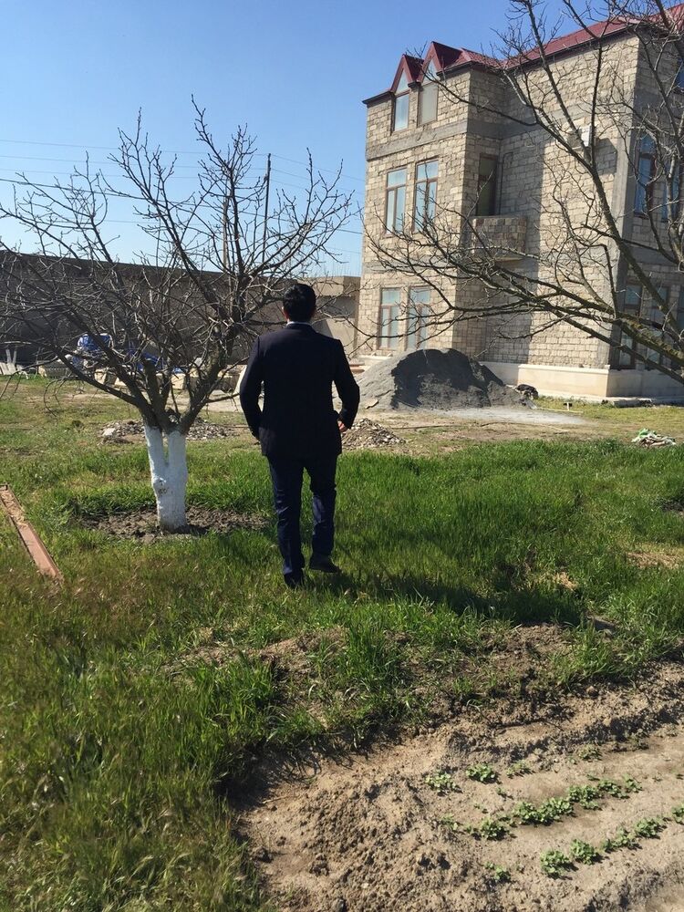 ���������� �����-���������, ���� ������� �������, 43 ����, ������������ ��� ����� � ���������, c�������� ���������