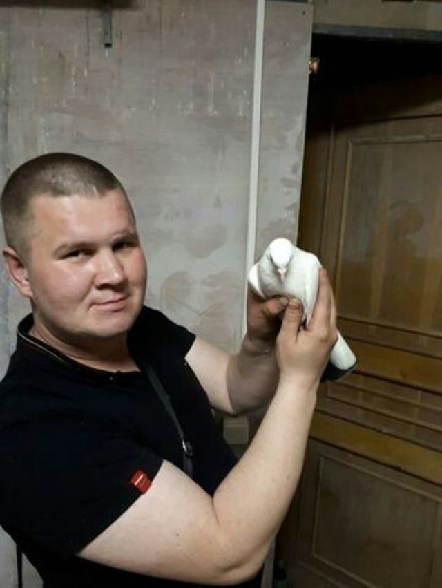 ���� 17450608 ������� �������, 37 ���, ���� ���������� � ���������