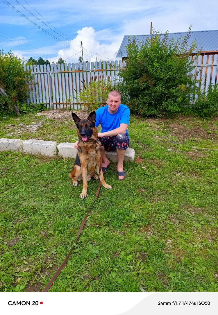 ���������� �����, ���� ������� ������, 37 ���, ������������ ��� ������, ����� � ���������, c�������� ���������, ���������