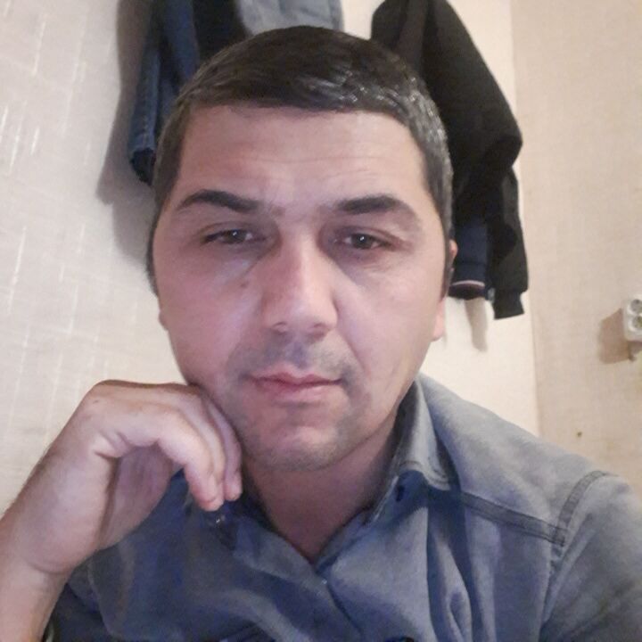 ���� 31352308 ������� ����� �����, 44 ����, ���� ���������� � ������