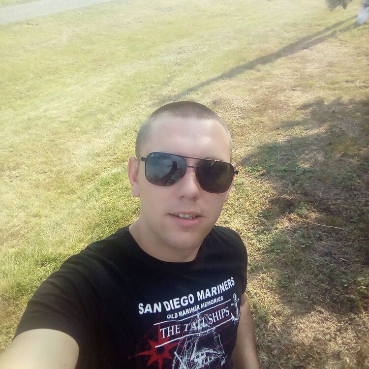  53271488  , 31 ,    