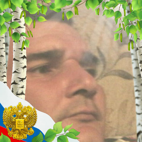 ���� 37888208 ������� �����, 42 ����, ���� ���������� � ������